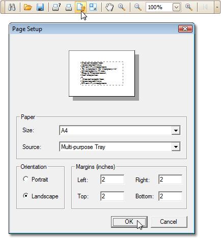 205 Paper Name property). These settings affect the layout of the report's design surface.