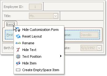Layout Manager 97 Do the following: 1.Right-click a tab header and select Rename: 2.Type a new name and press ENTER.
