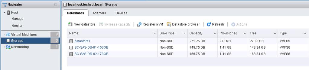 9. After completing the New datastore wizard, the new datastore(s) will appear in the datastores list for the host.