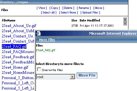 In the new window, select the directory that you would like to move the file(s) to by using the drop-down menu next to the button "Move File".