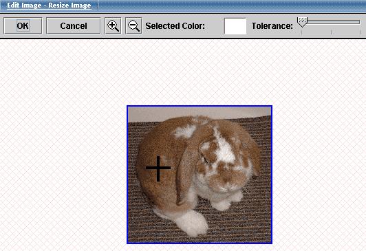 The Image Editor will then display the selected color in the rectangle to the right of the text