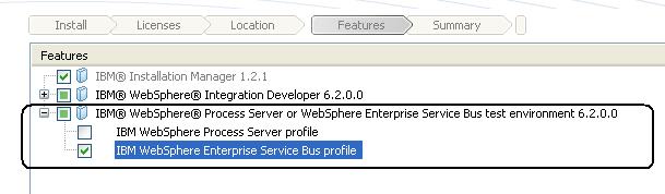 12. Uncheck IBM WebSphere Process Server profile. 13. Check IBM WebSphere Enterprise Server Bus profile. 14. Verify you have the features selected as shown above and click Next. 15.