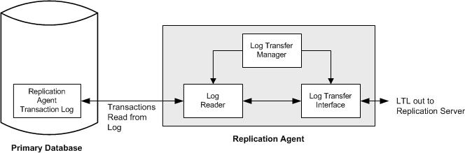 Replication Agent products After transaction data is retrieved from the primary database, the Log Transfer Interface (LTI) component of Replication Agent processes the transaction and the resulting