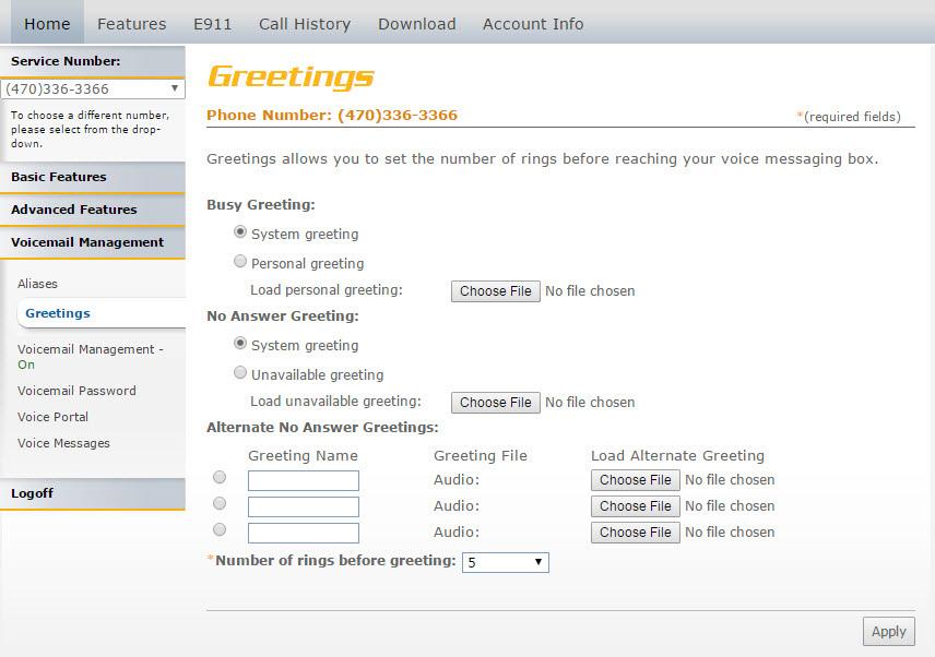 Greetings Greetings The greetings section allows you to set and change parameters that affect your voicemail greetings. Refer to Image 5.