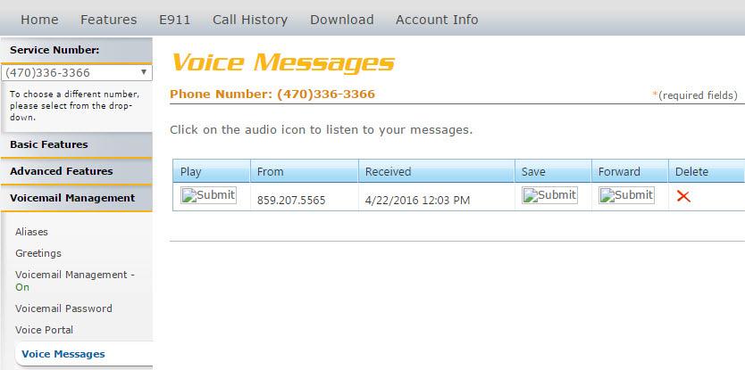 Voice Messages Voice Messages Voice Messages allows you to retrieve and manage your voicemail messages from within the voice portal. Refer to Image 9.