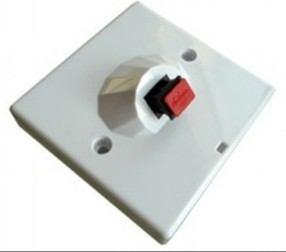 7. POF Passive Wall Plate POF Passive Wall Plate is a POF plug with no power. Now we can provide one POF port and two POF ports wall plate. IEEE 802.