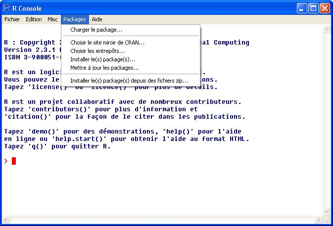 French Russian Japanese Inputting Text How does the user input text in a particular language?
