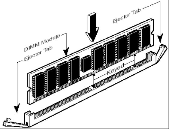 Standard Memory Organization Modern computer memory is organized as a
