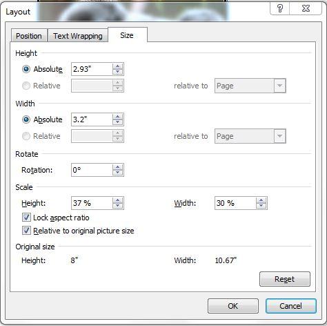 Picture Tools/Format Tab Picture Tools/Format Tab When an image is selected, you will see a tab for Picture Tools.