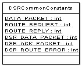 (ii) class DSRCommonConstants This class defines common constants used throughout the DSR Router engine.