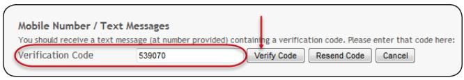 In tx Connect in the Verification Code field, type the verification code that was sent in the text message, and click Verify Code.