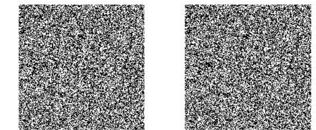Characteristics of Human Stereo Vision Can fuse random dot stereograms Bela Julesz, 1971 Shows Stereo system can function