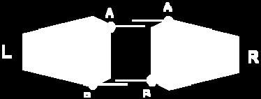 illustrated below: A B Same face seen from different eye positions i The fact that the perspective shortening causes points A and B to have different