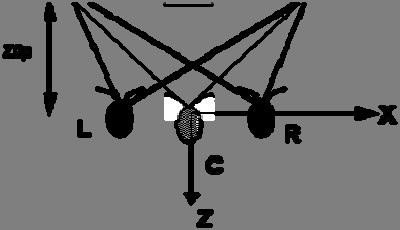 the X direction, which is actually accomplished by translating the scene by +E instead. Similarly, the right eye view is obtained by translating the scene by -E in the X direction.