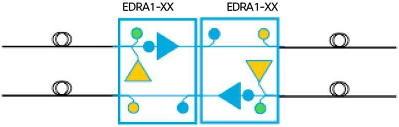 You can use the units in optical line amplification (OLA) nodes (Figure 18), in ROADM nodes (Figure 19), and in dynamic gain equalizer (DGE) sites in combination with 16-port Flex Spectrum ROADM Line