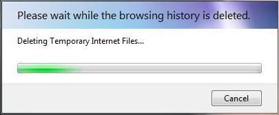 3. Click Delete under Browsing History and then wait for your