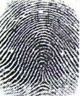 7. PRODUCT EXCELLENCE - Fake Fingerprint Detection F