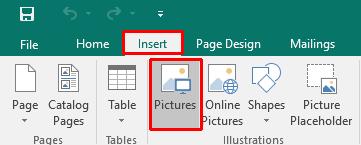 Microsoft Publisher 2016 Foundation - Page 60 Click on the Undo icon to remove the picture you have just inserted.