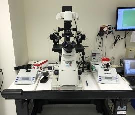 ArisTT75/sOTOTT75 Biology & Life Science - Inverted Microscope and Micromanipulator IVF