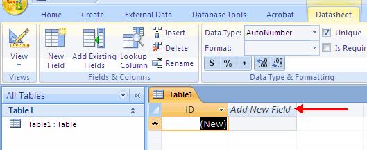 Adding New Fields There are many ways to enter new fields into a database. New fields can be added in the Datasheet View or in the Design View.