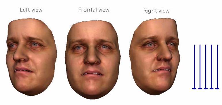 From capture to animation Multi-layer performance capture Generic face prior Coarse