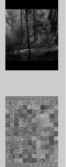 1. The method yielded similar filters, that though difficult to comprehend look like texture filters. 2.