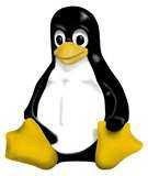 a. Linux Operating Systems: Linux (commonly pronounced LIN- ks in American English, also pronounced LIN-ooks in Europe and Canada) refers to the family of Unix-like computer operating systems using