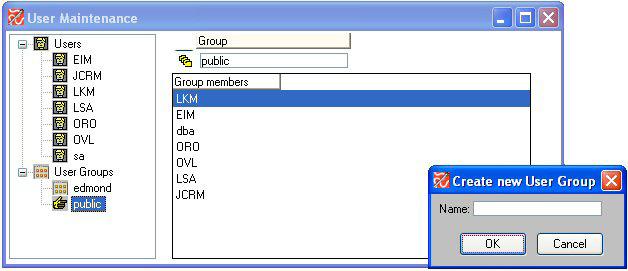 17 All Safran Planner SQL users must be assigned to a group. Select your group from the drop down list box and press the create button to create your new user.