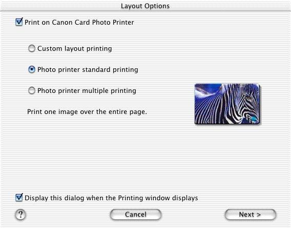 Layout Options window You can adjust the settings for printing.