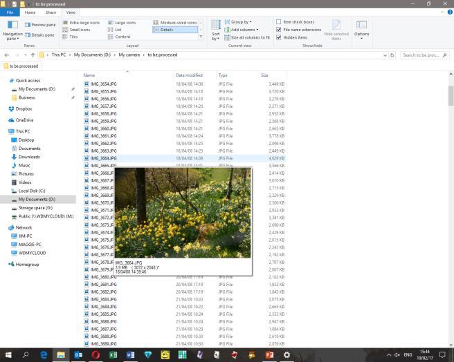 A typical folder of pictures will look something like the screenshot on the left.