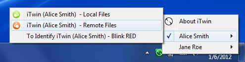 6) When itwin is ready for use, the Remote Files View will open up.