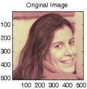 Heydari, A. et al Figure 4. Laure Image Compression ratio by 6 steps for both is nearly equal.
