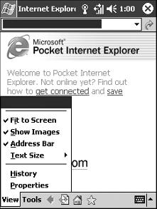 Internet Explorer Updates Many Web sites still do not have mobile format options, so
