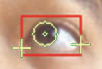 with ˆv g as the normalized gaze vector when the eye gaze is fixed to point P (see figure 11).