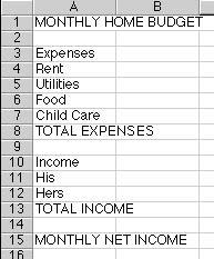 Practice 1 Monthly Home Budget Worksheet 1. Open a new worksheet and save it as Home Budget. 2. In Cell A1, type MONTHLY HOME BUDGET.