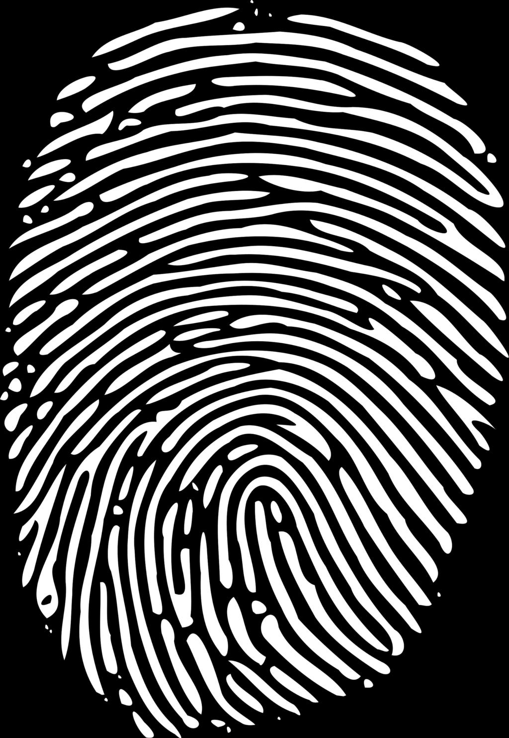 Hi-Def Fingerprinting Eliminates Blind Defense Hi-Def Fingerprint IP Address Header & User Agent