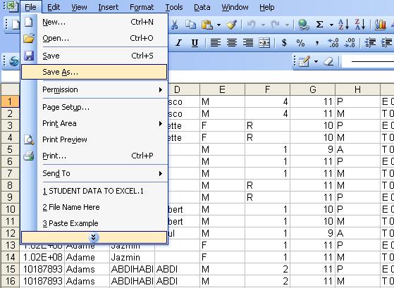 Save an Imported Text File as a Excel File After opening a text file, it can be saved as an Excel file.