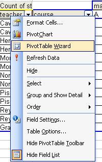 The Pivot Table Wizard provides another view of the layout for a new or existing Pivot Table, and permits you to manipulate fields in and