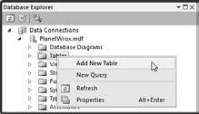 Creating Your Own Tables 423 a column as a primary key, the database engine ensures that no two records can end up with the same value.
