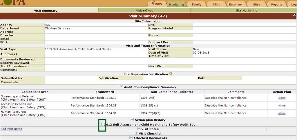Image 8: Going to Visit Summary Click the + Icon next to the 2013 Self Assessment-Audit Tool (Image 8), a completed