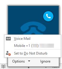Clicking on the Options dropdown will provide you with a few additional call handling options: Same as the Ignore button, from the Options dropdown, you can send the caller to voicemail with the