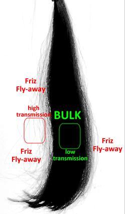 Bulk/Frizz separation The BULK pixels are defined as: Transmitted light <