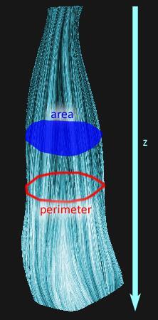 /cm 3 ) The surface area of the hair swatch (mm 2