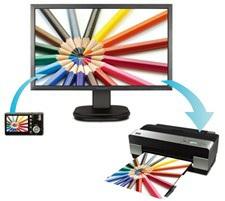 srgb color correction technology delivers the most accurate color performance available ViewSonic LCD monitors come standard with embedded srgb color correction technology which reproduces a 100 %