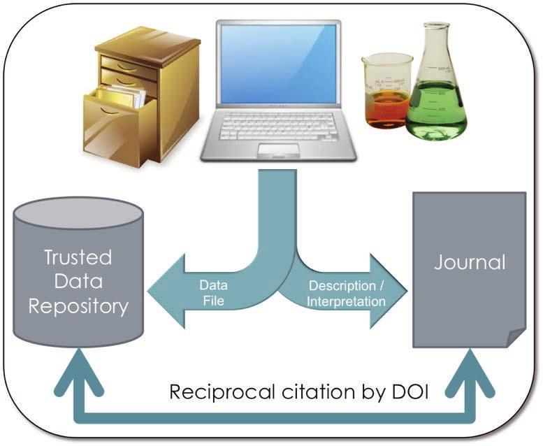Data Life Cycle: Integrate & Share! Advise on what to preserve & how! Data supporting pubs!
