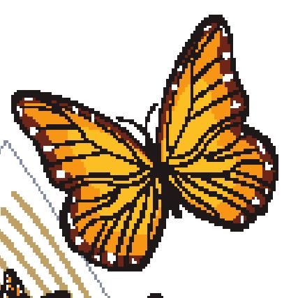 5 With the Zoom tool still selected, hold down the mouse button and drag a marquee around the butterfly; then release the mouse.