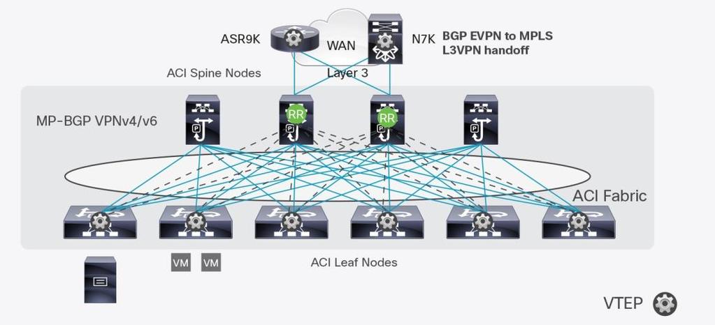 The topology in Figure 4 requires that the WAN routers support MP-BGP EVPN, OpFlex protocol, and VXLAN.
