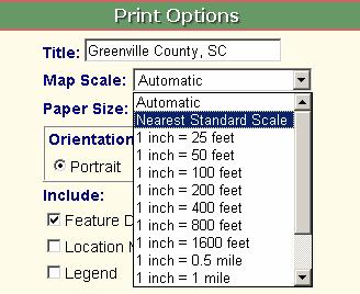 The default title is: Greenville County, SC Map Scale The map scale is set to Automatic by default.