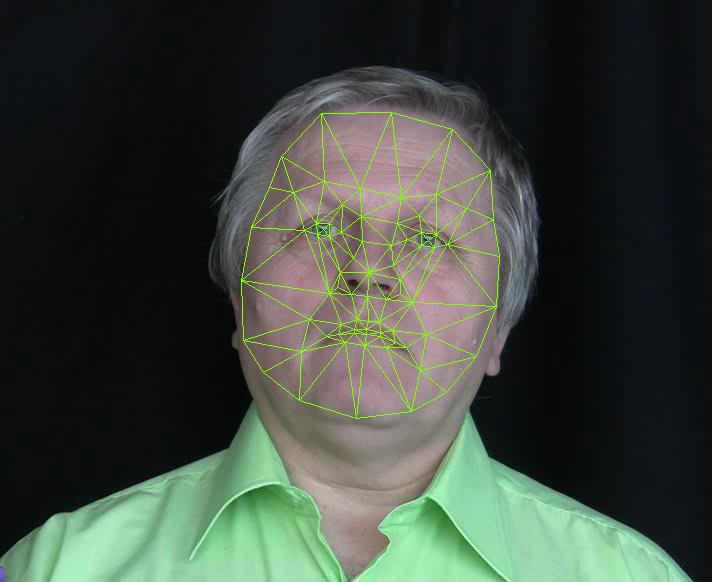 Face expression tracking - NMC Generative parametric models are commonly used to track