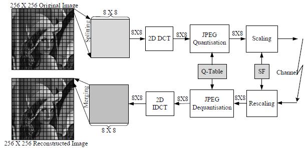 the encoding order (defined in the following), as shown in Figure 2. This special treatment is worthwhile, as DC coefficients frequently contain a significant fraction of the total image energy.